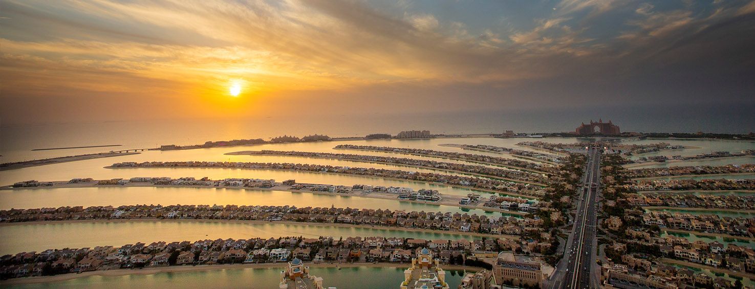 THE VIEW AT THE PALM